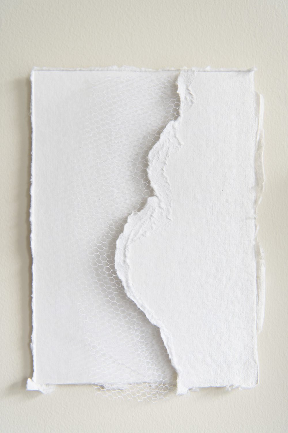 Artworkresized_DSC1565